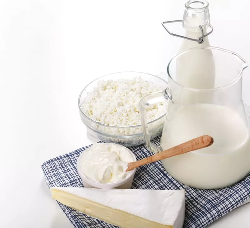 Alimentação rica em iogurte natural, kefir, leveduras e leite fermentado é alimentação rica em probióticos. Fonte da imagem: Freepik.