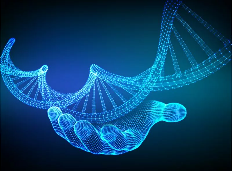 O zinco ajuda a proteger o DNA da célula. Fonte da imagem: Freepik.